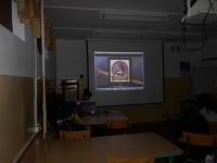 IMG_0010.jpg