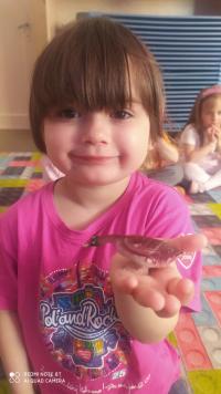 IMG_20250513_090736.jpg